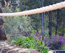 cairns hinterland landscape design 2