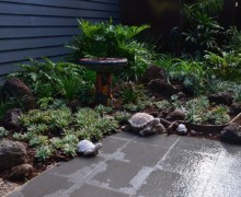 cairns hinterland landscape design 4