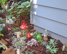 cairns hinterland landscape design 6