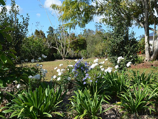 Cairns landscape design-country garden-1