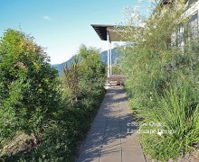 Gordonvale Landscape Design