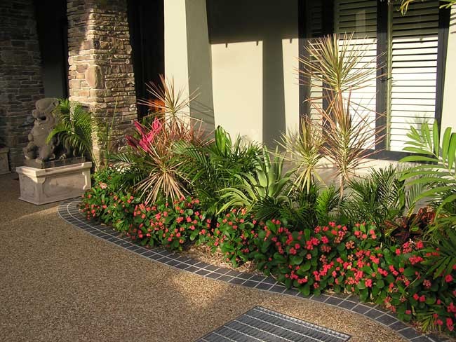 Townsville Garden | Suzan Quigg