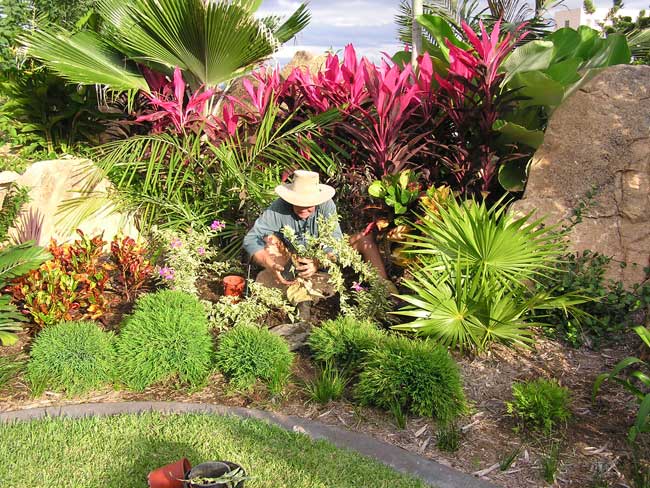 Townsville Garden Suzan Quigg, Tropical Garden Designs Queensland